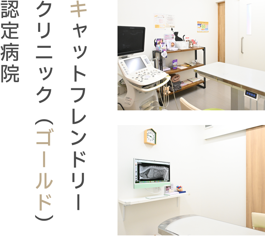 キャットフレンドリークリニック(ゴールド)認定病院