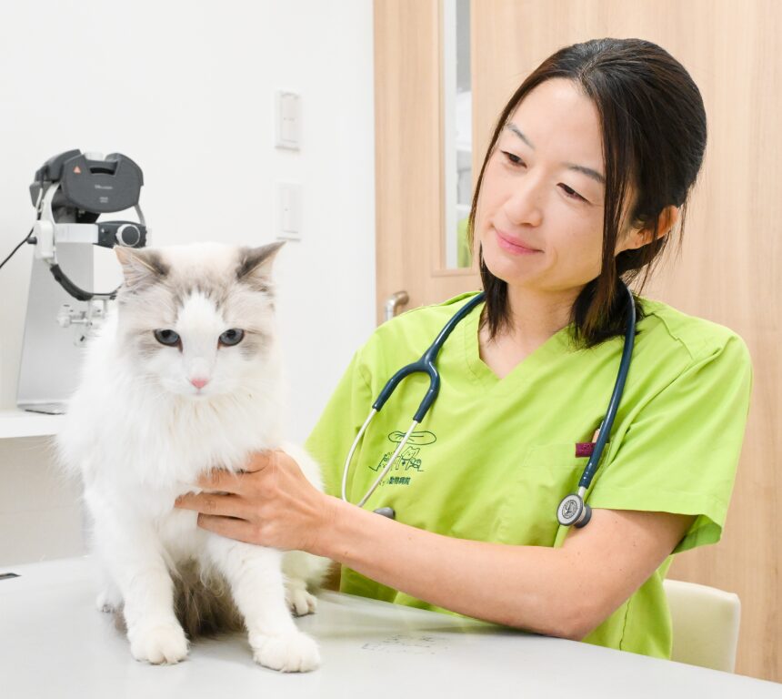 キャットフレンドリークリニック(ゴールド)認定病院